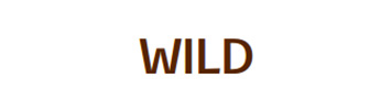 WILD Logo